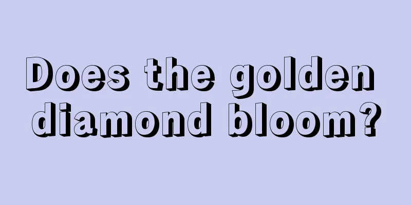 Does the golden diamond bloom?