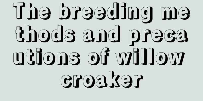 The breeding methods and precautions of willow croaker