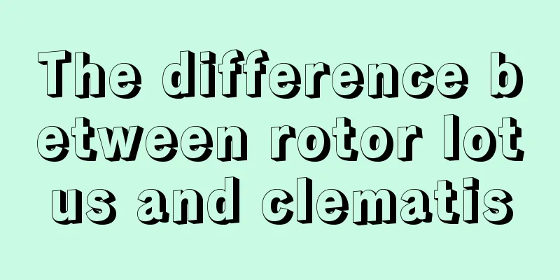 The difference between rotor lotus and clematis