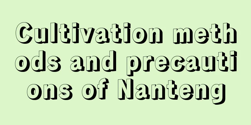 Cultivation methods and precautions of Nanteng