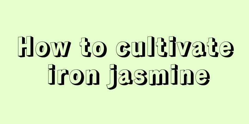 How to cultivate iron jasmine