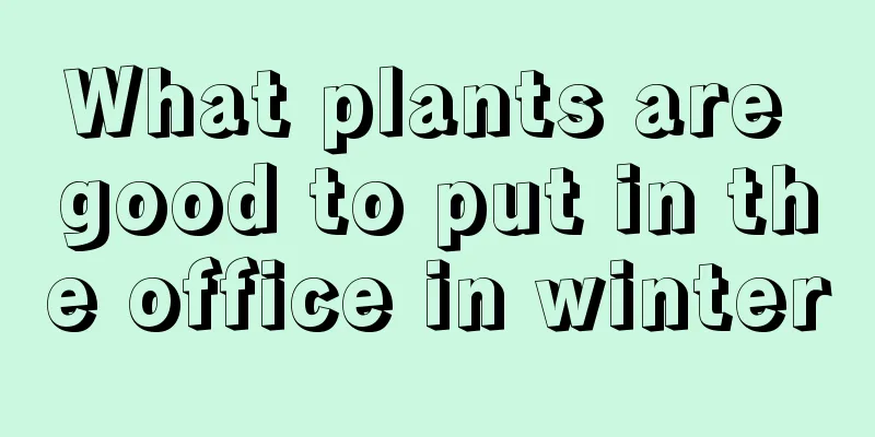 What plants are good to put in the office in winter