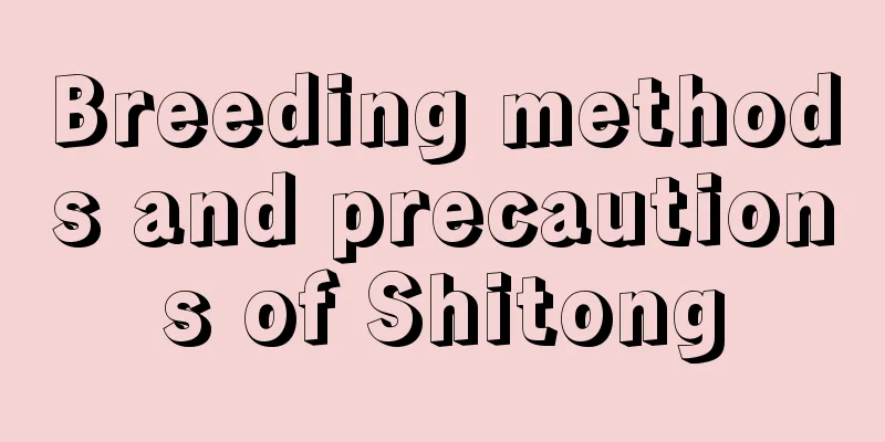 Breeding methods and precautions of Shitong