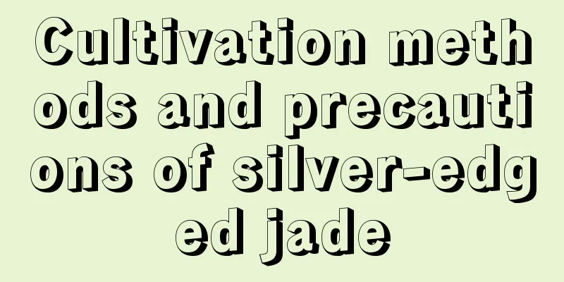 Cultivation methods and precautions of silver-edged jade