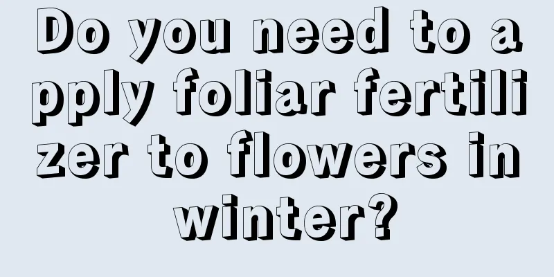 Do you need to apply foliar fertilizer to flowers in winter?