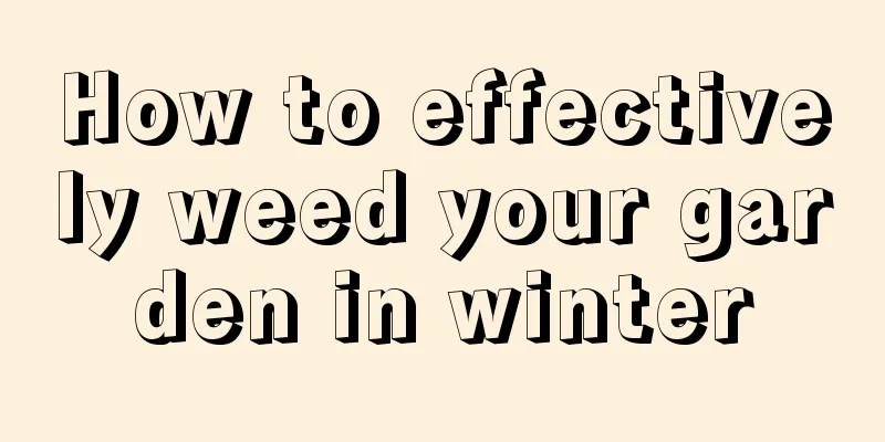 How to effectively weed your garden in winter