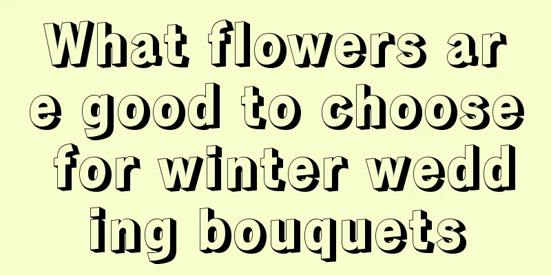 What flowers are good to choose for winter wedding bouquets