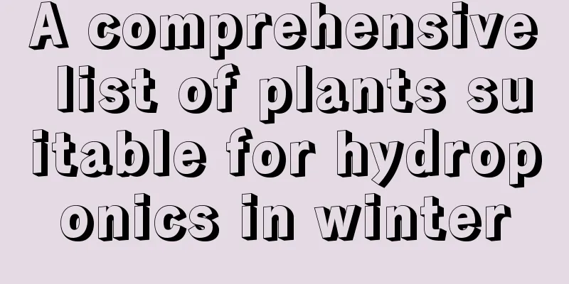 A comprehensive list of plants suitable for hydroponics in winter