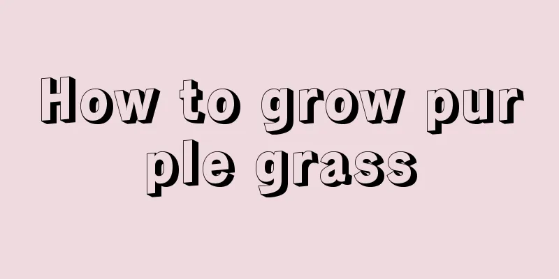 How to grow purple grass