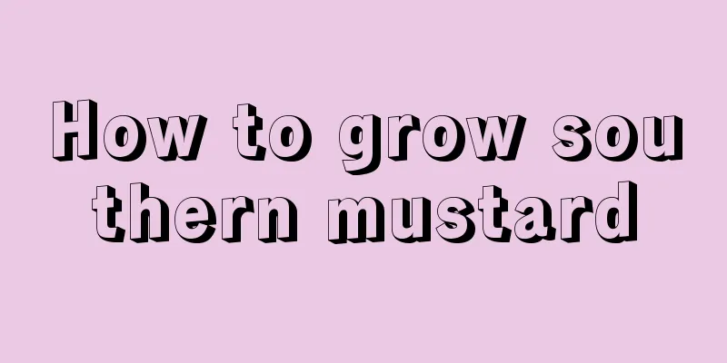 How to grow southern mustard