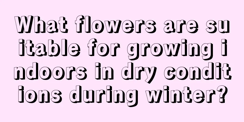 What flowers are suitable for growing indoors in dry conditions during winter?