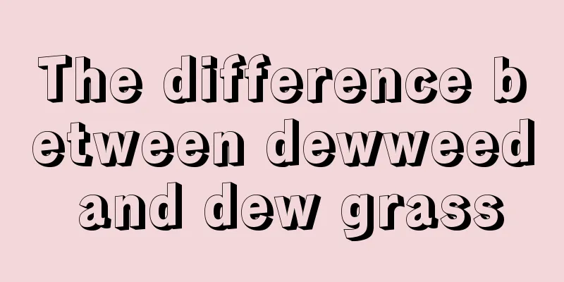 The difference between dewweed and dew grass