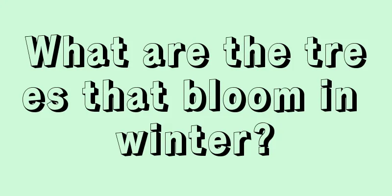 What are the trees that bloom in winter?