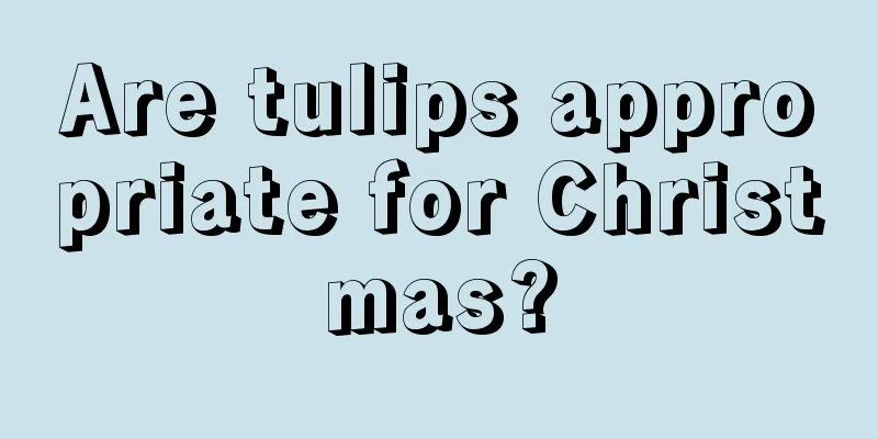 Are tulips appropriate for Christmas?