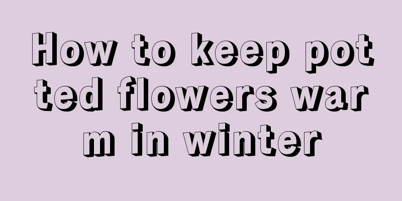 How to keep potted flowers warm in winter