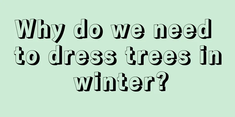 Why do we need to dress trees in winter?