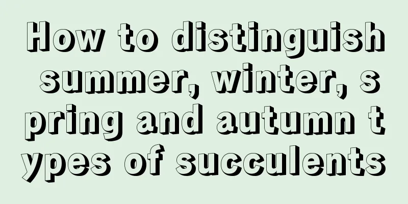 How to distinguish summer, winter, spring and autumn types of succulents