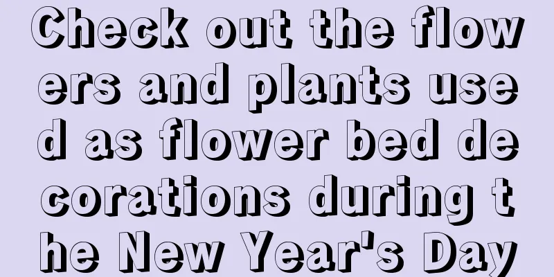 Check out the flowers and plants used as flower bed decorations during the New Year's Day