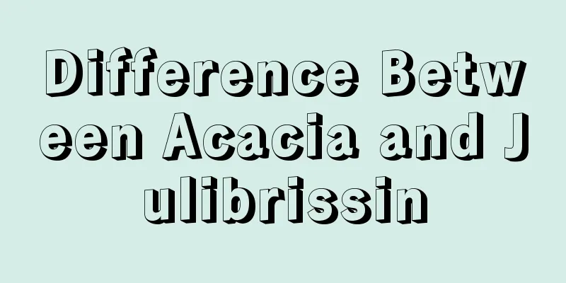 Difference Between Acacia and Julibrissin