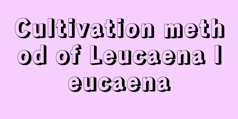 Cultivation method of Leucaena leucaena