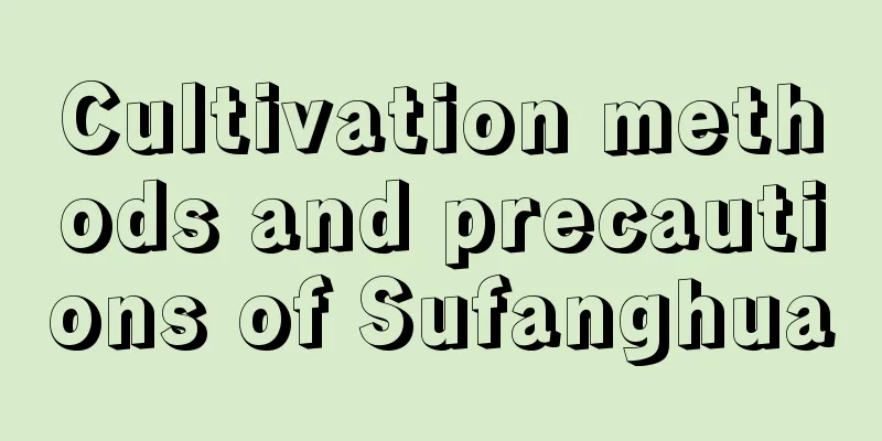 Cultivation methods and precautions of Sufanghua