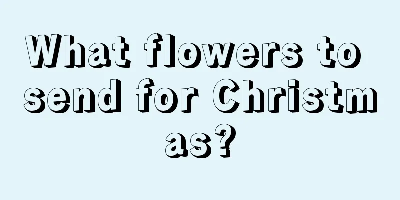 What flowers to send for Christmas?