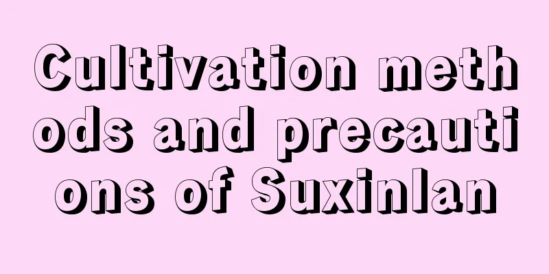 Cultivation methods and precautions of Suxinlan