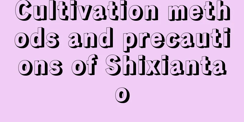 Cultivation methods and precautions of Shixiantao