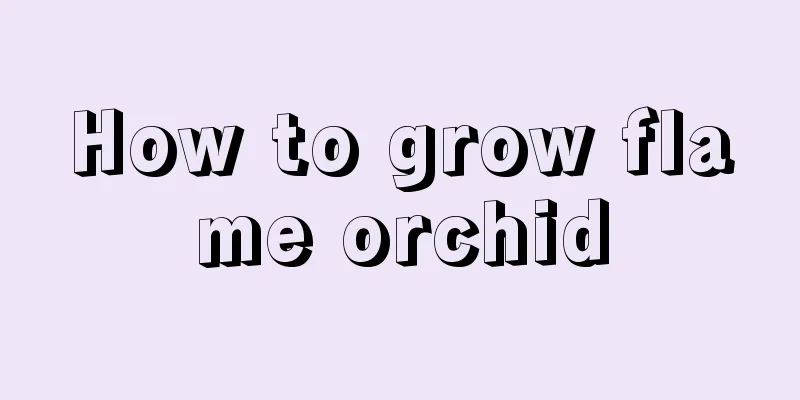 How to grow flame orchid