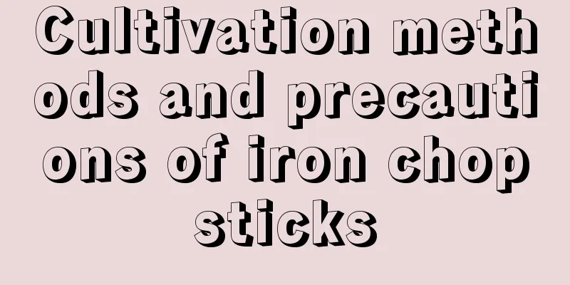 Cultivation methods and precautions of iron chopsticks