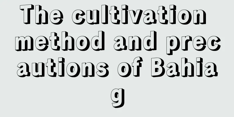 The cultivation method and precautions of Bahiag