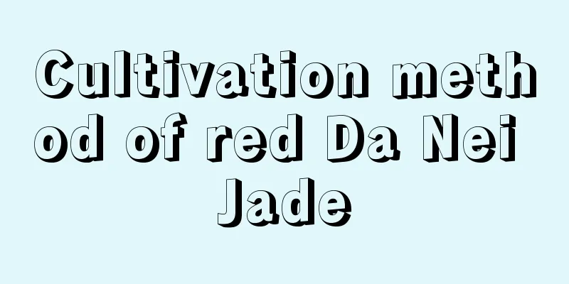 Cultivation method of red Da Nei Jade