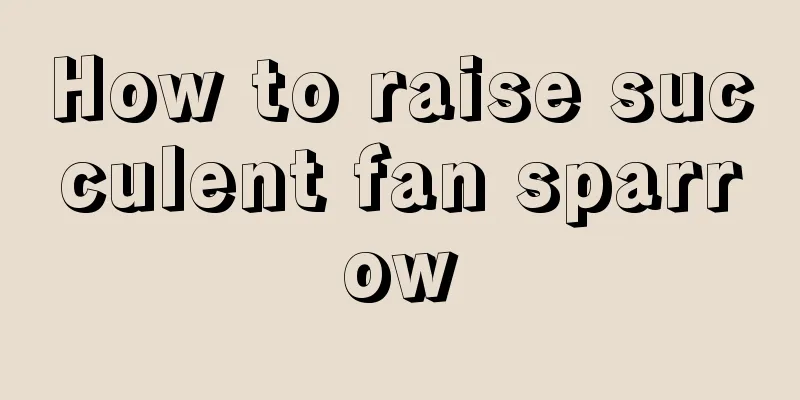 How to raise succulent fan sparrow