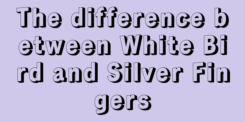 The difference between White Bird and Silver Fingers