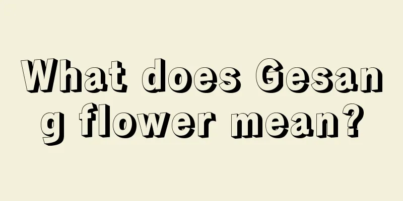 What does Gesang flower mean?