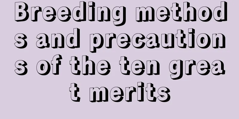 Breeding methods and precautions of the ten great merits