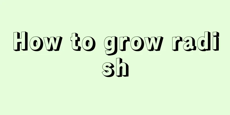 How to grow radish