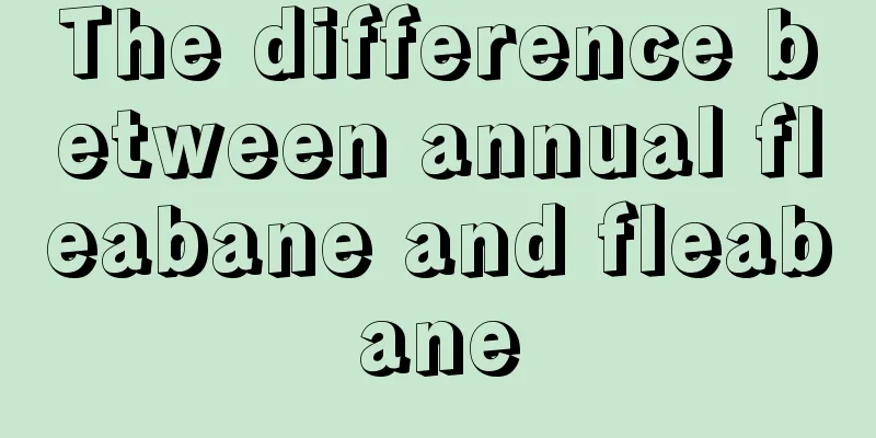 The difference between annual fleabane and fleabane