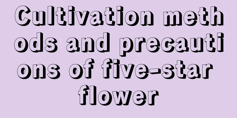 Cultivation methods and precautions of five-star flower