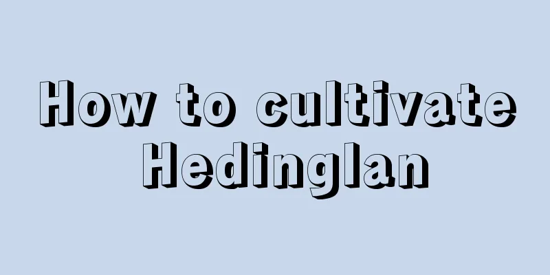 How to cultivate Hedinglan