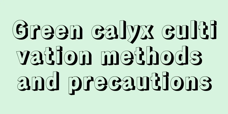 Green calyx cultivation methods and precautions