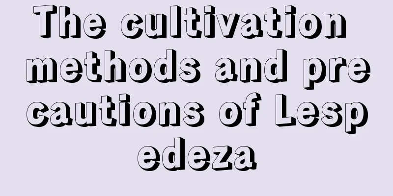 The cultivation methods and precautions of Lespedeza