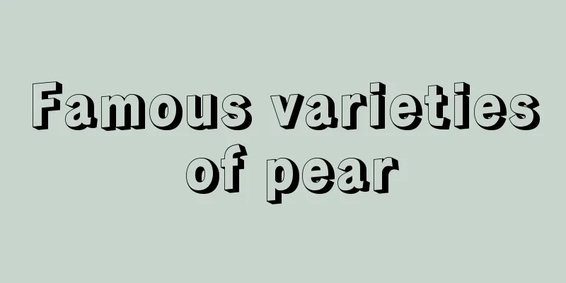 Famous varieties of pear