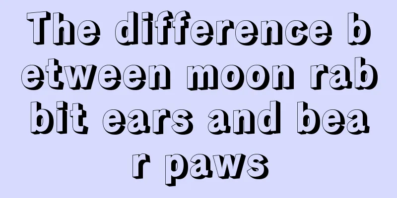 The difference between moon rabbit ears and bear paws