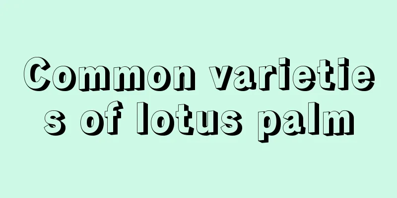 Common varieties of lotus palm