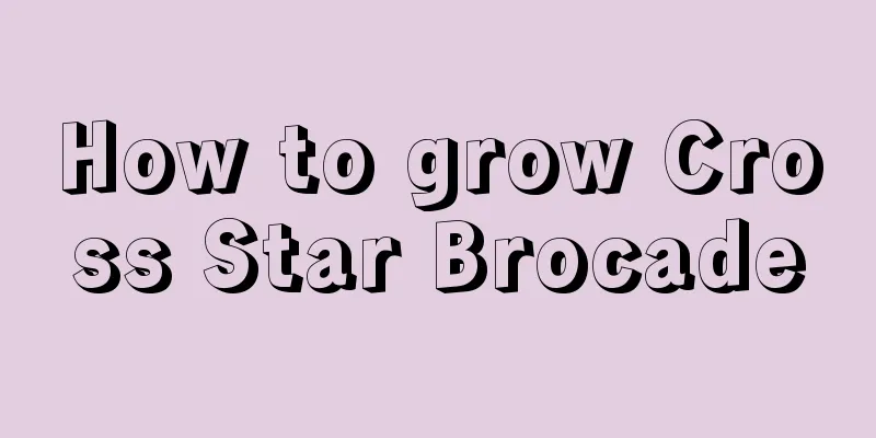 How to grow Cross Star Brocade