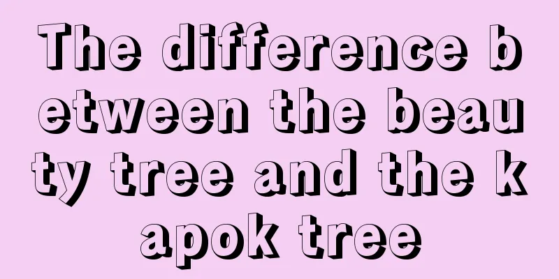 The difference between the beauty tree and the kapok tree