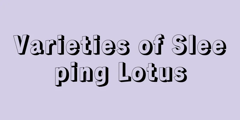 Varieties of Sleeping Lotus