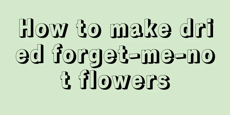 How to make dried forget-me-not flowers