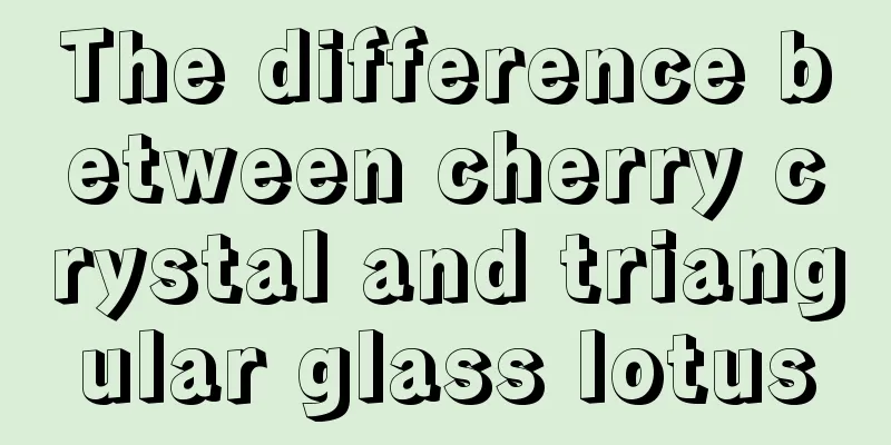 The difference between cherry crystal and triangular glass lotus